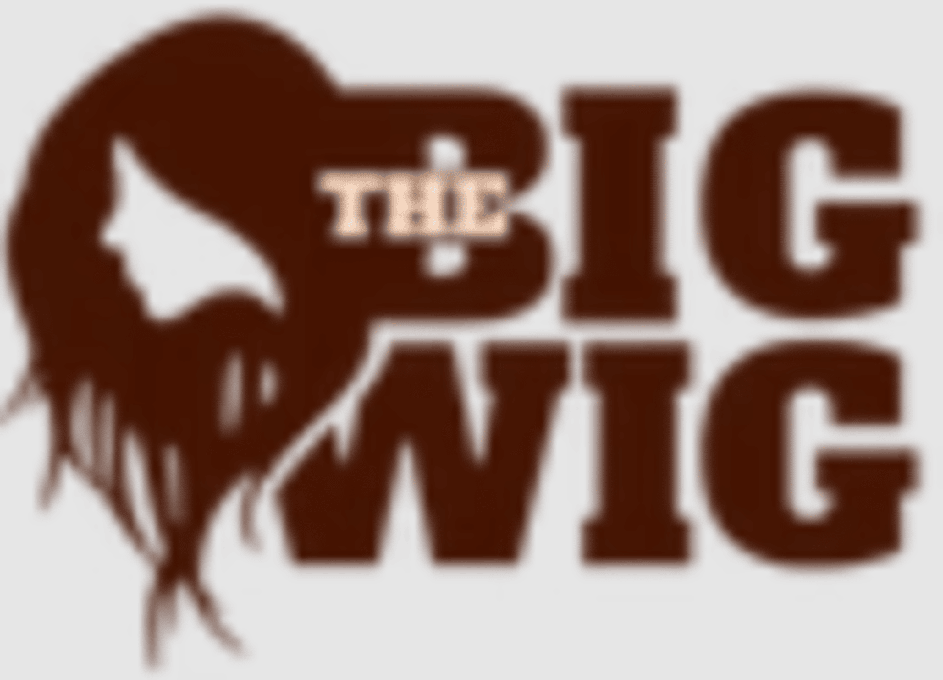 The Big Wig