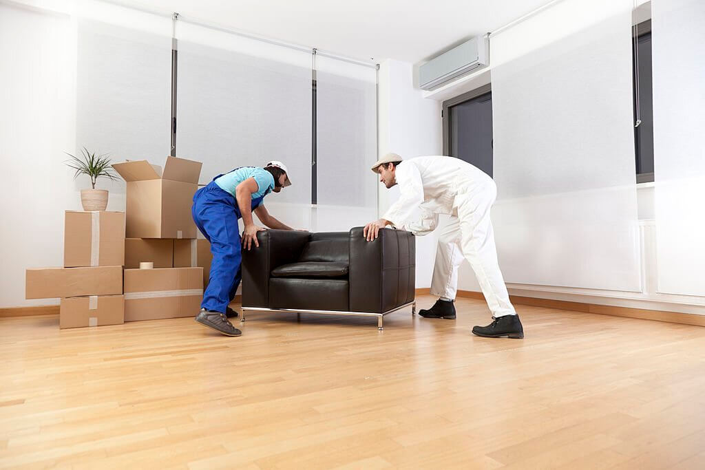 Hamilton Removalists