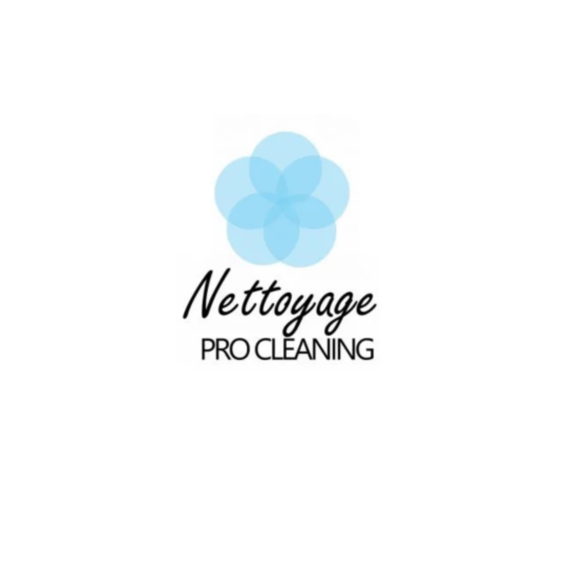 Nettoyage Pro Cleaning