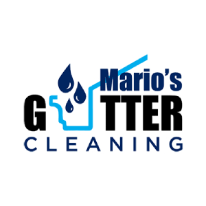 Mario's Gutter Cleaning